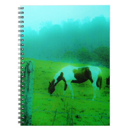 Carnet Turquoise brouillard Reto colorié poney peint Chev (Devant)