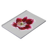 Carnet Tutelle rouge profonde (Côté gauche)