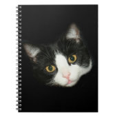 Carnet Tuxedo (Devant)