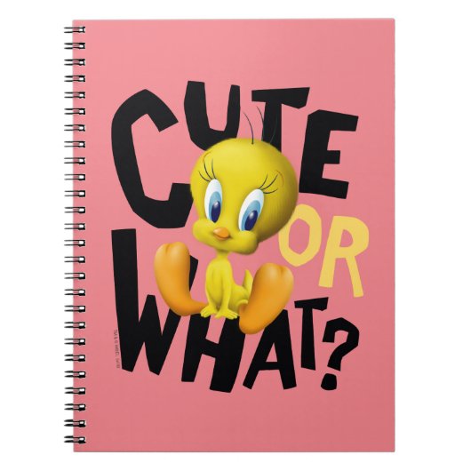 Carnet TWEETY™ - Mignon ou quoi ? (Devant)