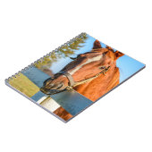 Carnet Twilight Rose | Cheval de course Pur-sang (Côté gauche)