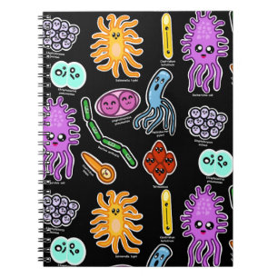 Carnet Types De Bactéries