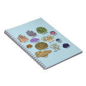 Carnet Types de corail (Côté Droit)