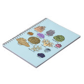 Carnet Types de corail (Côté gauche)