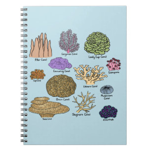 Carnet Types de corail