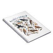 Carnet Types de faucons aquarelle oiseau faune (Côté Droit)