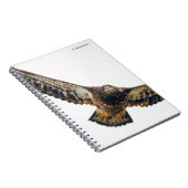 Carnet Un aigle à tête blanche étonnant fait un survol (Côté Droit)