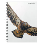 Carnet Un aigle à tête blanche étonnant fait un survol (Devant)