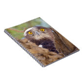 Carnet Un Aigle serpentaire à poitrine blanche (Côté Droit)