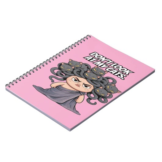 Carnet Un Amoureux des chats drôle ne regarde pas mes cha (Côté gauche)