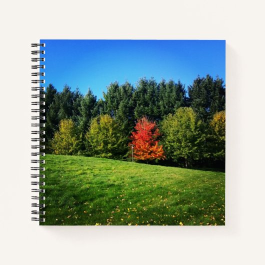 Carnet Un arbre rouge (Devant)