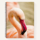 Carnet Un Beau Flamant rose Rose (Devant)