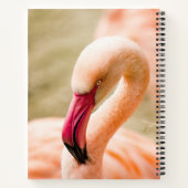 Carnet Un Beau Flamant rose Rose (Dos)