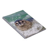 Carnet Un bébé phoque surfant (Côté Droit)