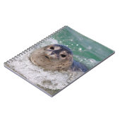 Carnet Un bébé phoque surfant (Côté gauche)