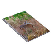 Carnet Un cerf dans l'herbe haute (Côté Droit)