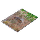 Carnet Un cerf dans l'herbe haute (Côté gauche)