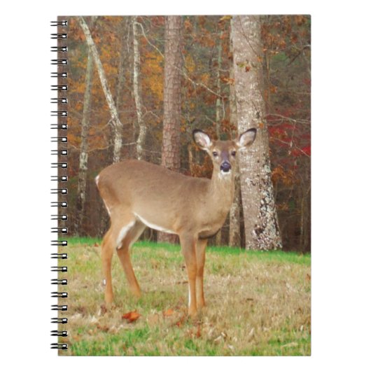 Carnet Un cerf de rêve de chasseur (Devant)