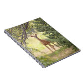 Carnet Un cerf solitaire (Côté Droit)