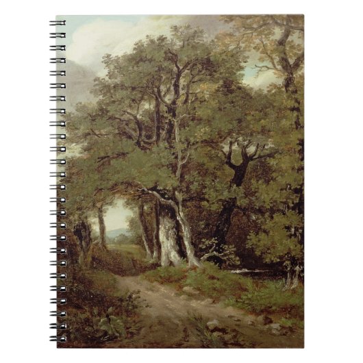 Carnet Un chemin boisé (Devant)