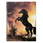 Carnet Un cheval de Stallion friésien (Devant)