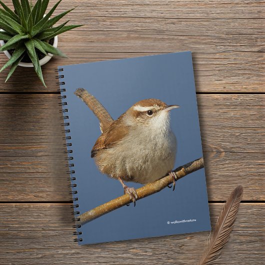 Carnet Un curieux Wren de Bewick's Wren dans l'arbre
