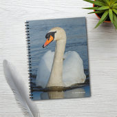 Carnet Un Cygne muet s'approche