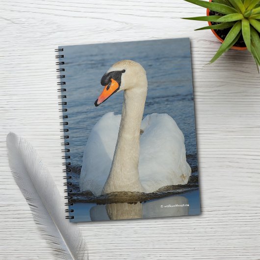 Carnet Un Cygne muet s'approche