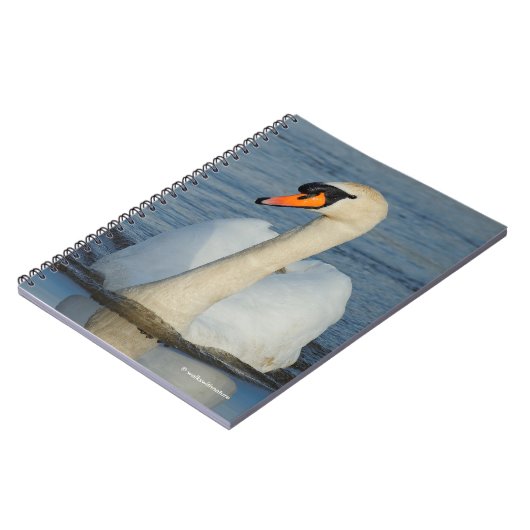 Carnet Un Cygne muet s'approche (Côté gauche)