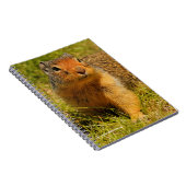 Carnet Un écureuil terrestre colombien à nez twitté (Côté Droit)