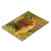 Carnet Un écureuil terrestre colombien à nez twitté (Côté gauche)