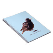 Carnet Un étourneau (Côté Droit)