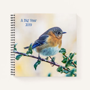 Carnet Un grand ordinateur portable pour oiseaux bleus