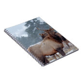 CARNET UN GROUPE DE DEERS (Côté Droit)