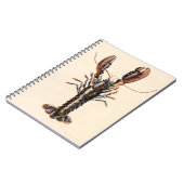 Carnet Un homard de Solva (Côté gauche)
