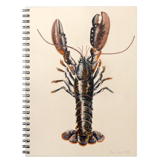 Carnet Un homard de Solva (Devant)