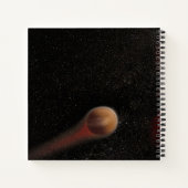 Carnet Un jeune nain rouge (Dos)