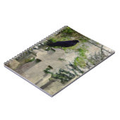 Carnet Un jour gothique (Côté gauche)