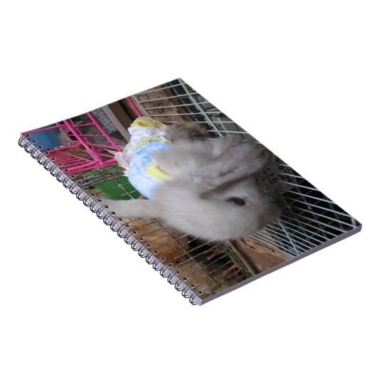 Carnet Un lapin en robe (Côté Droit)