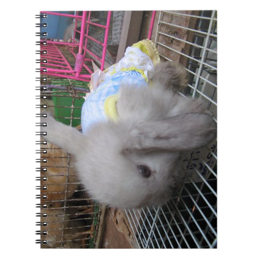 Carnet Un lapin en robe (Devant)