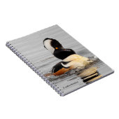 Carnet Un Merganseur Surpris (Côté Droit)