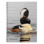 Carnet Un Merganseur Surpris (Devant)