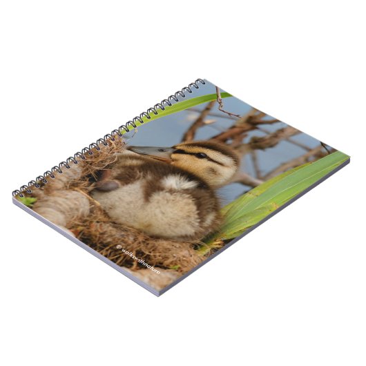 Carnet Un mignon canard à colle et précieux (Côté gauche)