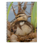 Carnet Un mignon canard à colle et précieux (Devant)