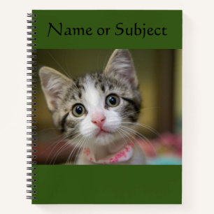 Carnet Un mignon chaton aux yeux verts