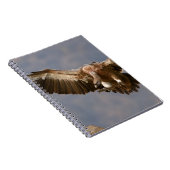 Carnet Un oiseau de proie (Côté Droit)