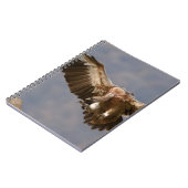 Carnet Un oiseau de proie (Côté gauche)
