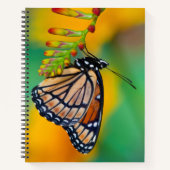 Carnet Un papillon amiral sur des fleurs (Devant)