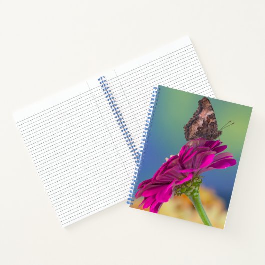 Carnet Un papillon Papilio multicaudatus (Intérieur)