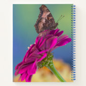 Carnet Un papillon Papilio multicaudatus (Dos)